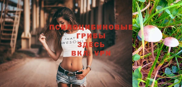 таблы Алзамай