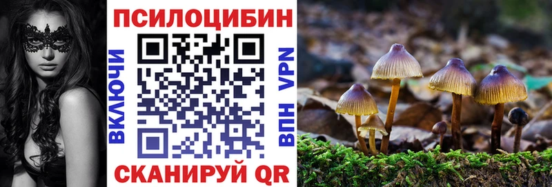 Псилоцибиновые грибы Magic Shrooms  Борзя 